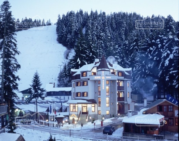 Alpin Hotel10